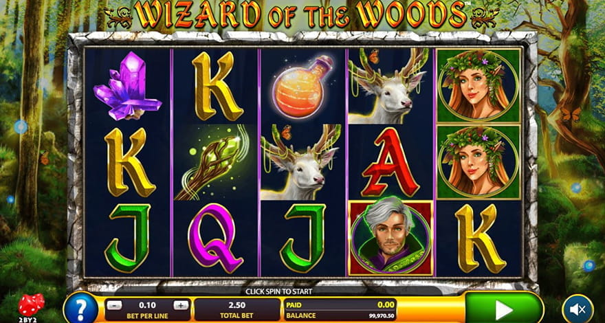 Magic Slots Wizard of the Woods